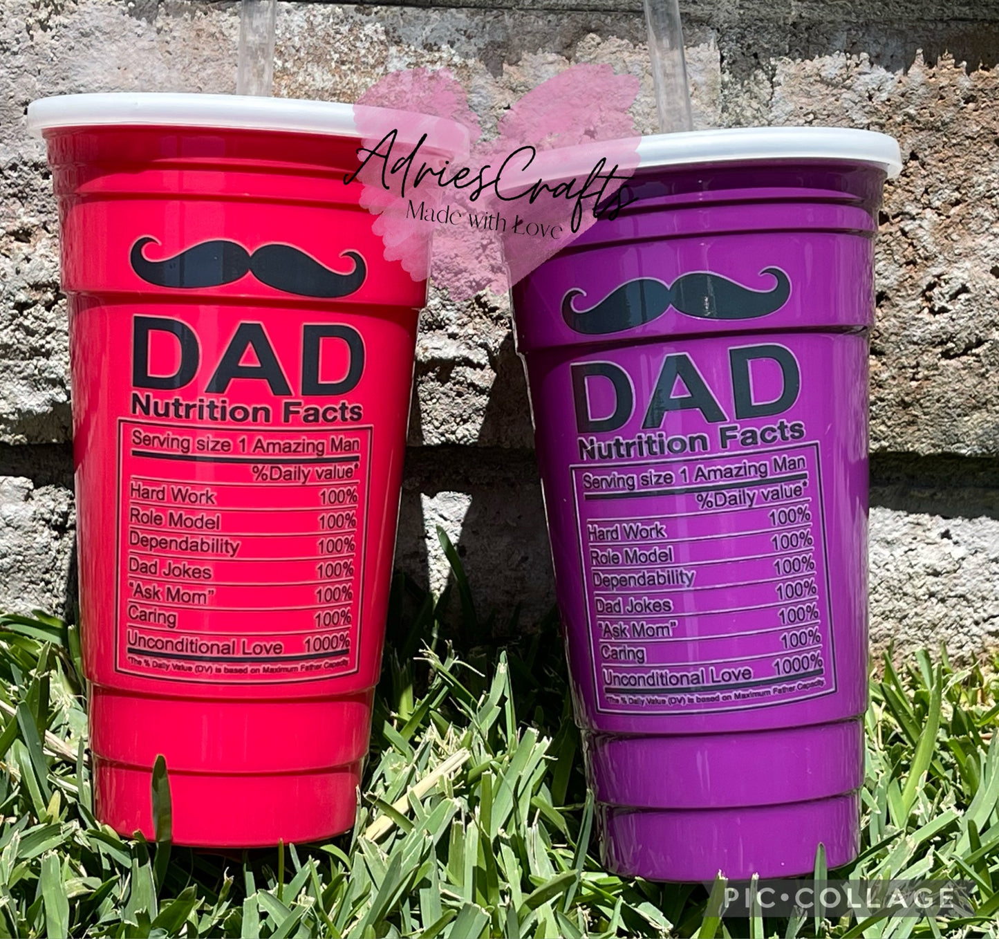 Dad Facts Cup